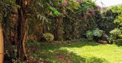 Pet friendly 3bedroom maisonettes and study room