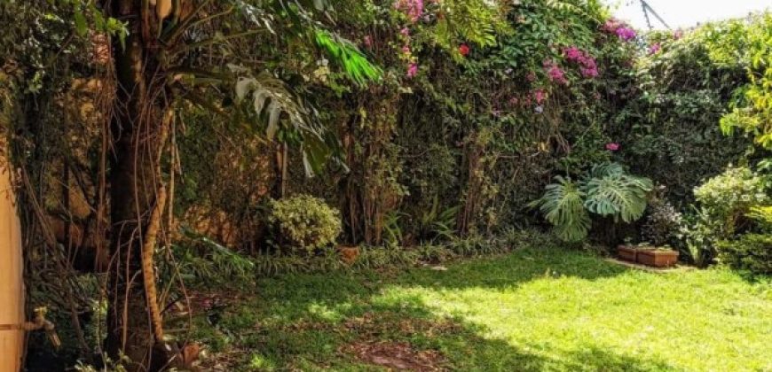 Pet friendly 3bedroom maisonettes and study room