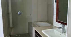 Westlands; Lavish 3 Bedroom Duplex Apartments near ABC