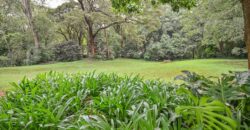 Muthaiga; 2 Bedroom Fully Furnished and Serviced Apartments to Let