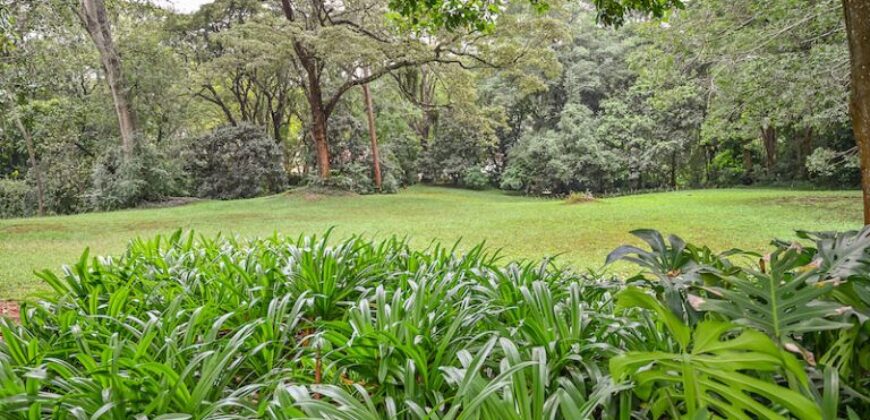 Muthaiga; 2 Bedroom Fully Furnished and Serviced Apartments to Let